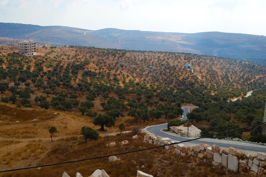 Taybeh Golden Hotel Ramallah Buitenkant foto